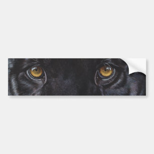 Black panther leopard eyes bumper sticker