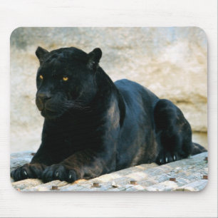 Black panther mouse pad