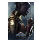 Black Panther | Okoye Character
