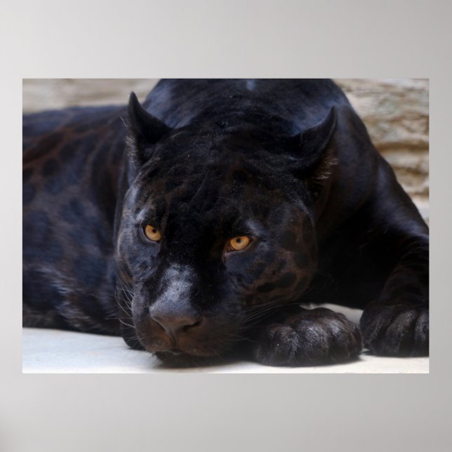 Black Panther Poster (Front)