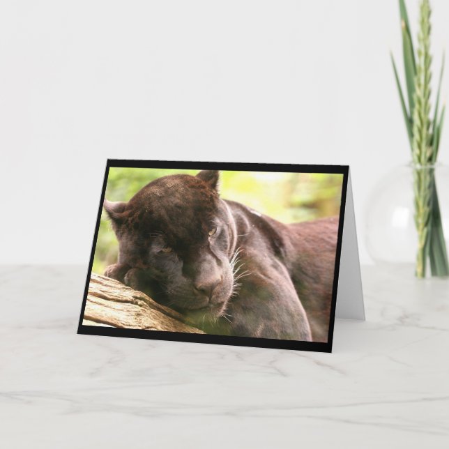 Black Panther Sleeping Greeting Card (Front)