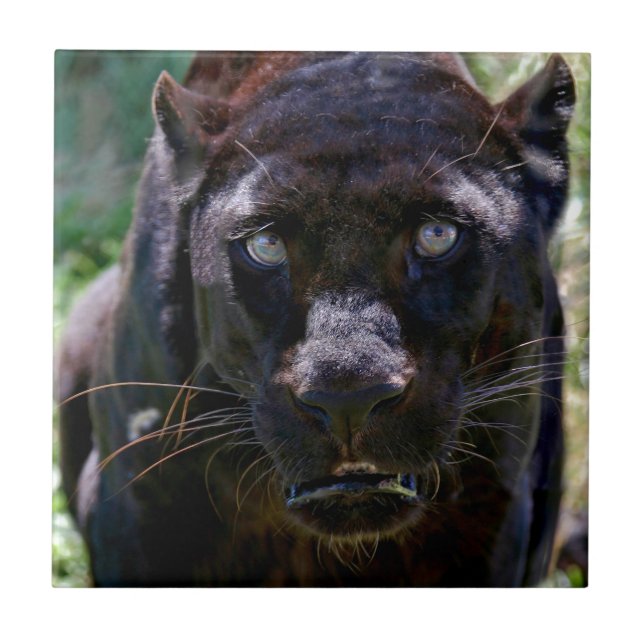 Black Panther Tile (Front)