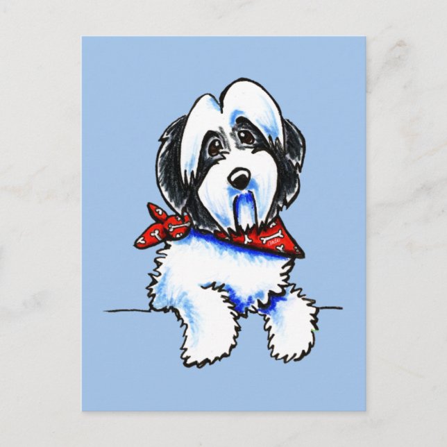 Black Parti Havanese Lil Bone Scarf Postcard (Front)