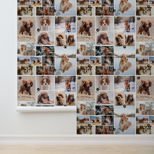 Black Paw Prints Your Dog 14 Photos Pattern Wallpaper (Application)