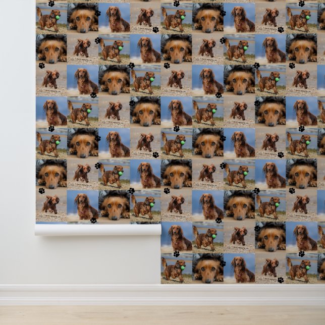 Black Paw Prints Your Dog 4 Photos Pattern Wallpaper (Application)