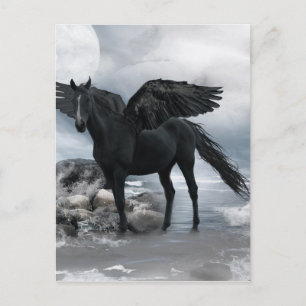black Pegasus horse Postcard