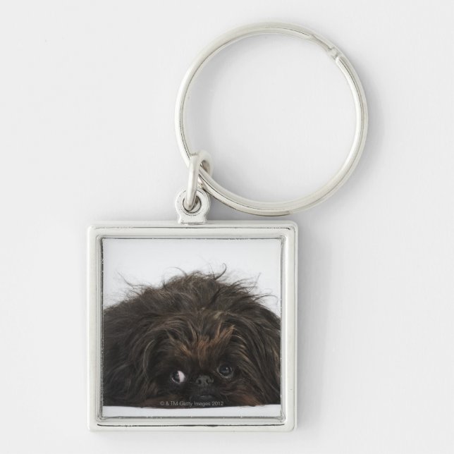 Black Pekingese dog lying down Keychain (Front)