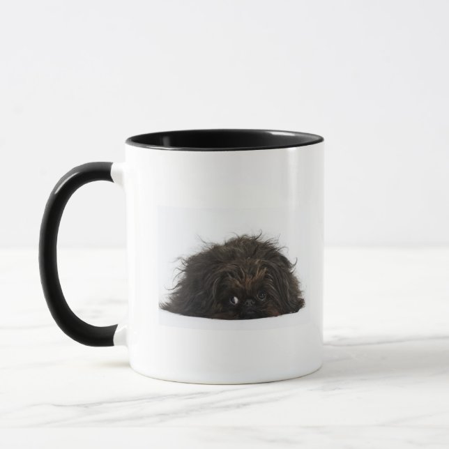 Black Pekingese dog lying down Mug (Left)