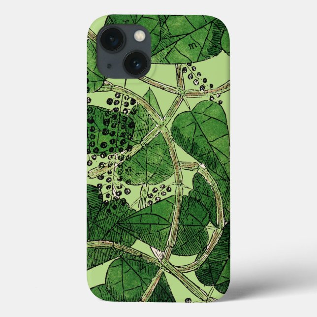Black Pepper Plant, 1578 Case-Mate iPhone Case (Back)