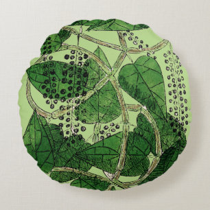 Black Pepper Plant, 1578 Round Pillow