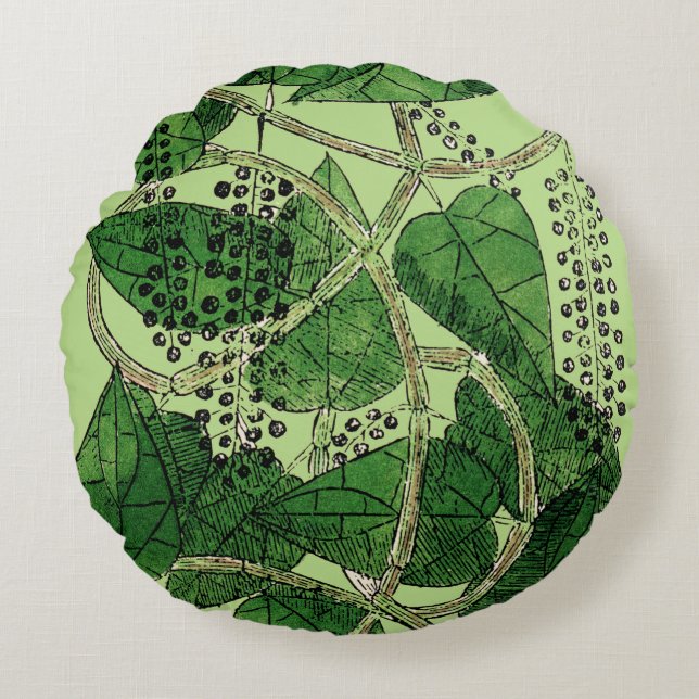 Black Pepper Plant, 1578 Round Pillow (Front)