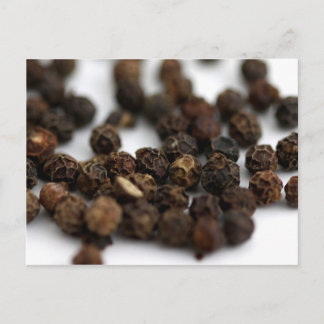 Black Pepper Postcard