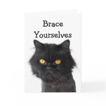 Black Persian Cat Party Invitation