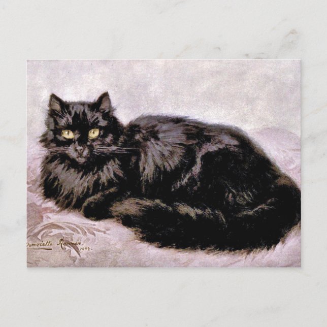 Black Persian Cat Postcard (Front)