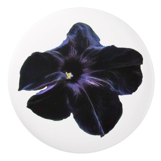 Black Petunia Ceramic Knob (Front)