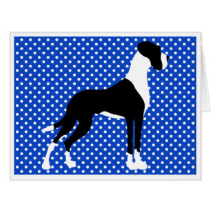 Black Piebald Great Dane