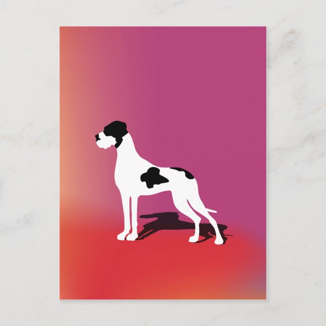 Black Piebald Great Dane Postcard (Front)