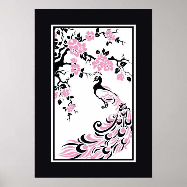 Black, pink, white peacock and cherry blossoms poster (Front)
