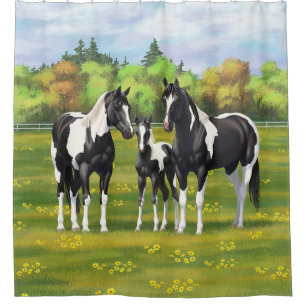 Black Pinto Paint Quarter Horses In Summer Pasture