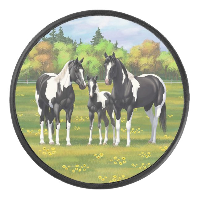 Black Pinto Paint Quarter Horses In Summer Pasture Hockey Puck (Front)