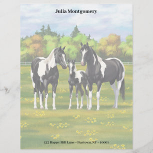 Black Pinto Paint Quarter Horses In Summer Pasture Letterhead
