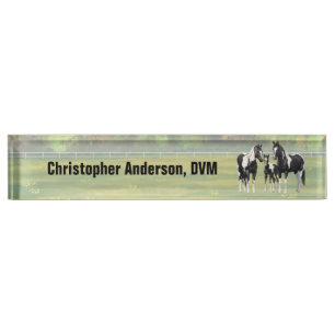 Black Pinto Paint Quarter Horses In Summer Pasture Nameplate