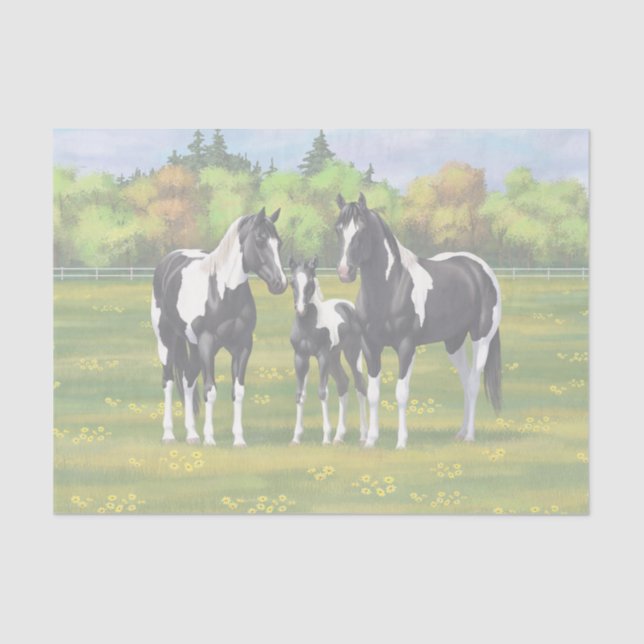 Black Pinto Paint Quarter Horses In Summer Pasture Tissue Paper (Front)