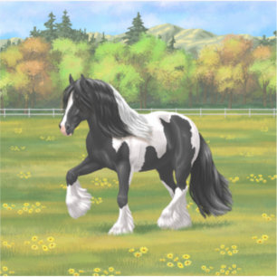 Black Pinto Piebald Gypsy Vanner Draught Horse