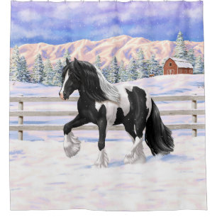 Black Pinto Piebald Gypsy Vanner Draught Horse