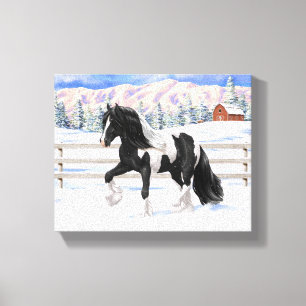 Black Pinto Piebald Gypsy Vanner Draught Horse Canvas Print