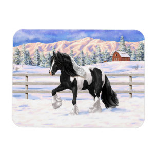 Black Pinto Piebald Gypsy Vanner Draught Horse Magnet