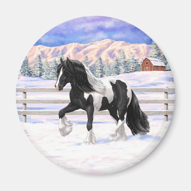 Black Pinto Piebald Gypsy Vanner Draught Horse Magnet (Front)