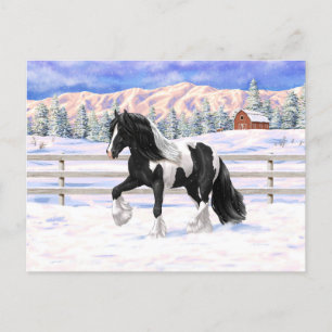 Black Pinto Piebald Gypsy Vanner Draught Horse Postcard
