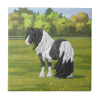 Black Pinto Piebald Gypsy Vanner Draught Horse