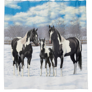 Black Pinto Quarter Horse Paint Horses In Snow