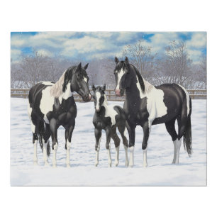Black Pinto Quarter Horse Paint Horses In Snow Faux Canvas Print