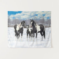 Black Pinto Quarter Horse Paint Horses In Snow