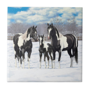 Black Pinto Quarter Horse Paint Horses In Snow Tile