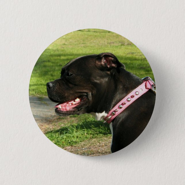 Black Pit Bull 2 Inch Round Button (Front)