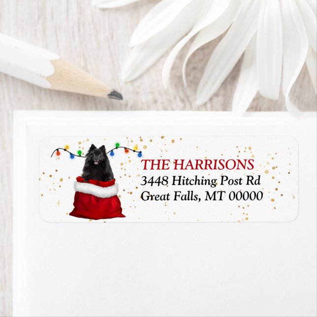 Black Pomeranian Dog in Gift Bag Return Address (Insitu)