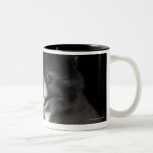 Black Pomeranian looking to the left Two-Tone Coffee Mug