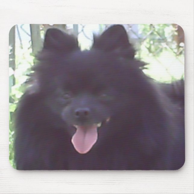 Black Pomeranian Mousepad (Front)