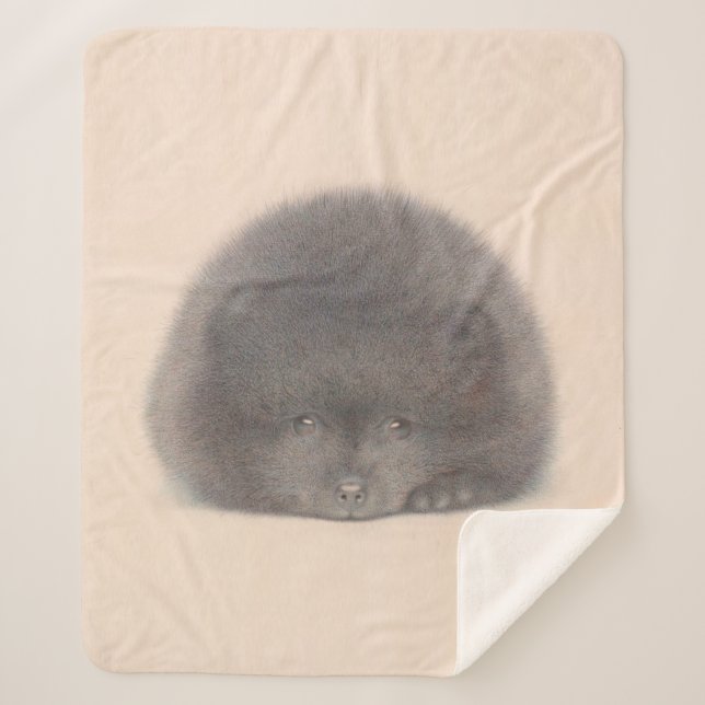 Black Pomeranian Puppy Watercolor Sherpa Blanket (Front)