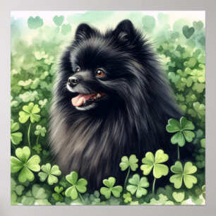 Black Pomeranian St Patricks Day Poster