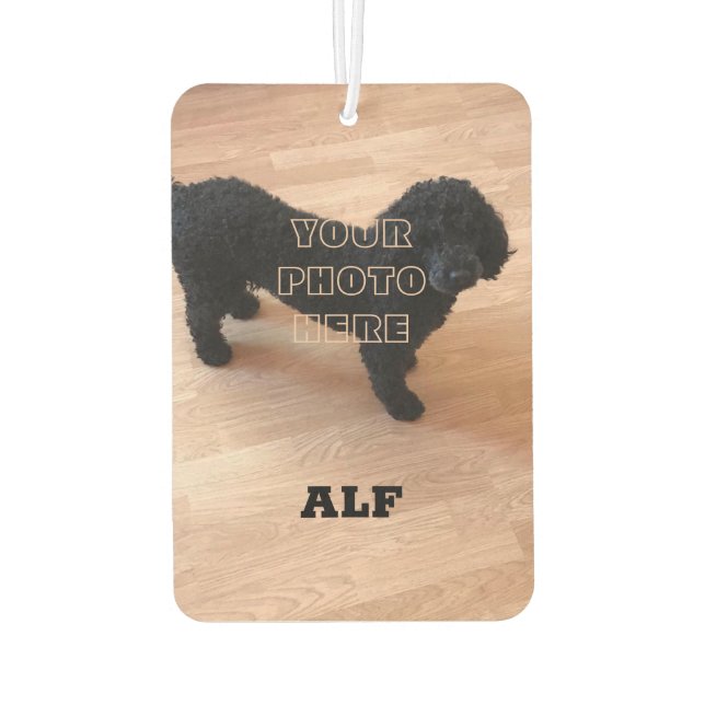 Black Poodle Air Freshener (Back)