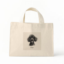 Black Poodle
