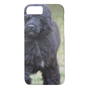 Black Portuguese Water Dog iPhone 8/7 Case