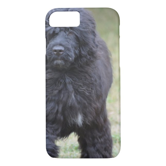 Black Portuguese Water Dog Case-Mate iPhone Case (Back)