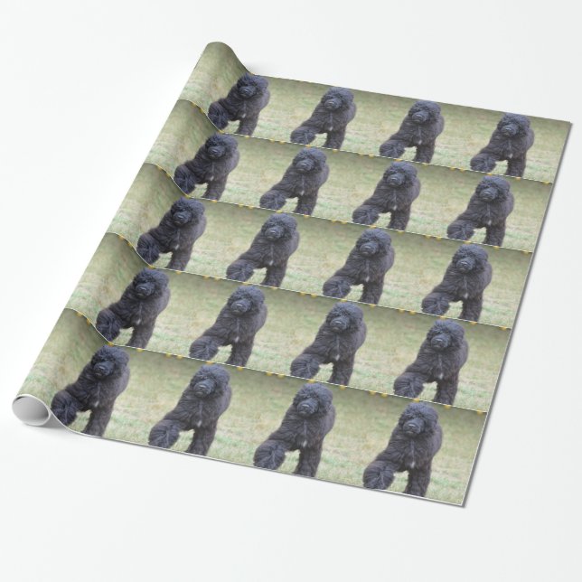 Black Portuguese Water Dog Wrapping Paper (Unrolled)