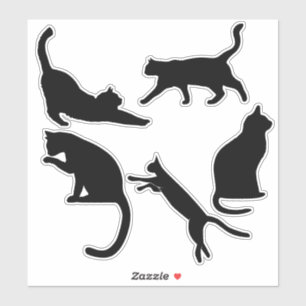 black posy cats
